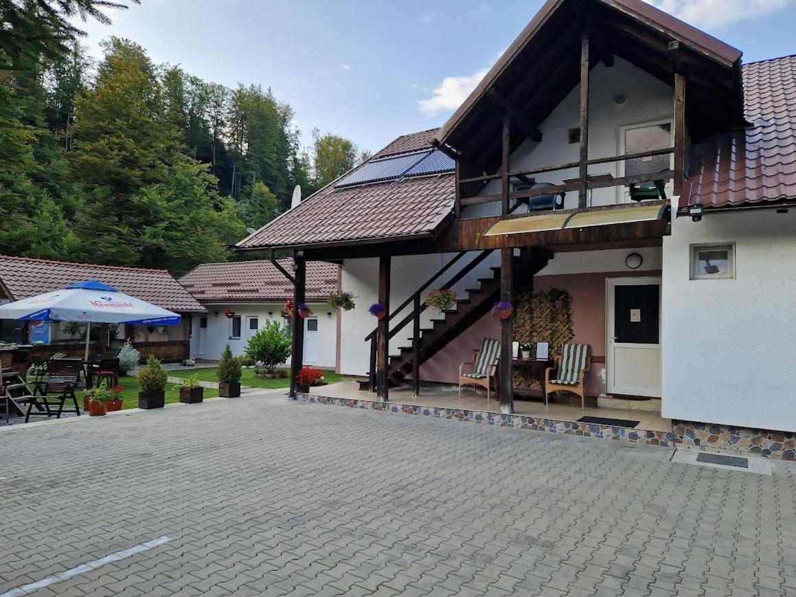Hotel Casa Popa'S à Cîrţişoara Extérieur photo