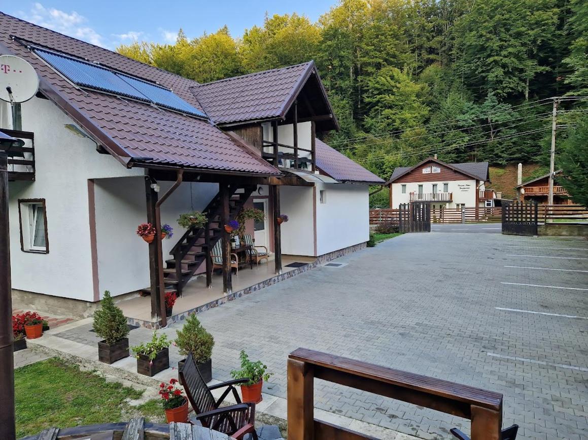 Hotel Casa Popa'S à Cîrţişoara Extérieur photo