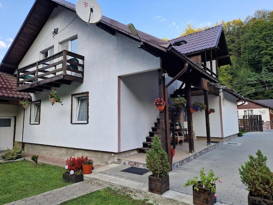 Hotel Casa Popa'S à Cîrţişoara Extérieur photo