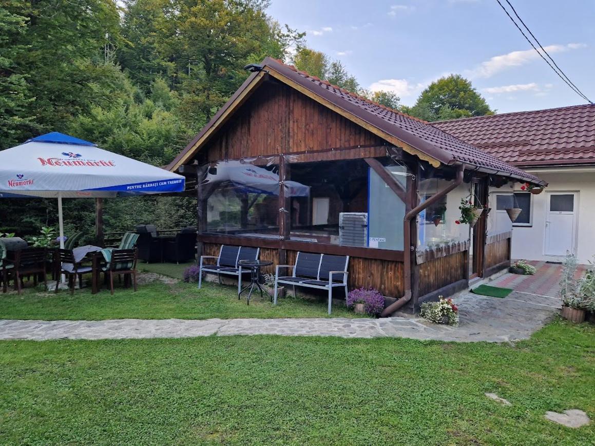 Hotel Casa Popa'S à Cîrţişoara Extérieur photo