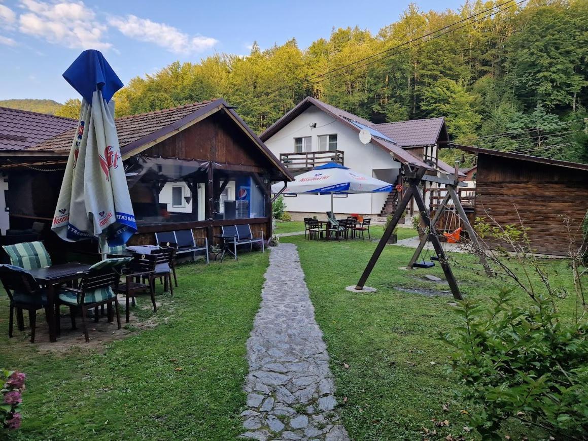 Hotel Casa Popa'S à Cîrţişoara Extérieur photo