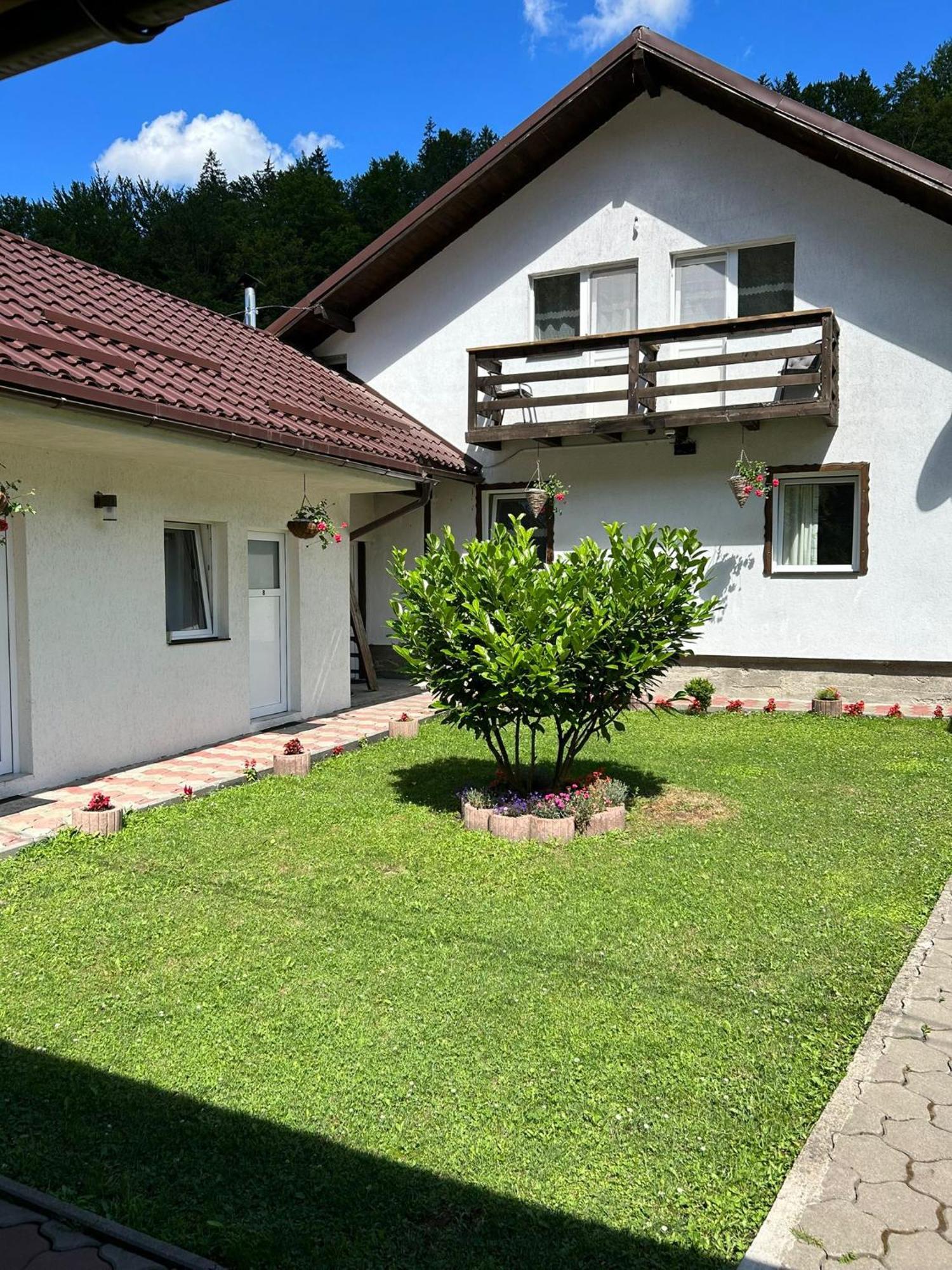 Hotel Casa Popa'S à Cîrţişoara Extérieur photo