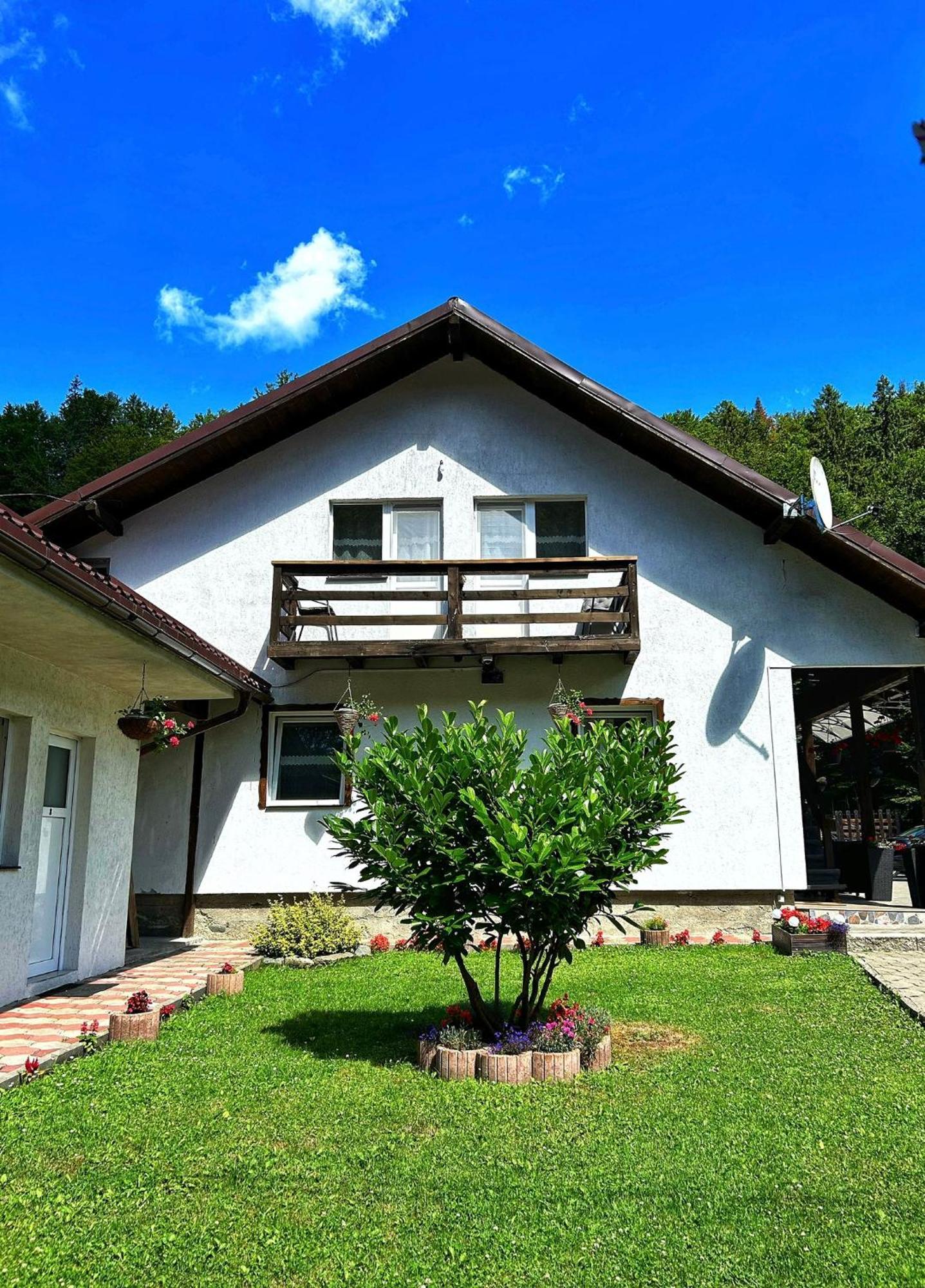 Hotel Casa Popa'S à Cîrţişoara Extérieur photo