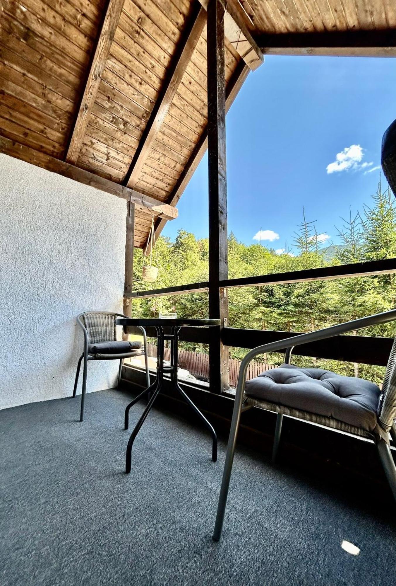 Hotel Casa Popa'S à Cîrţişoara Extérieur photo