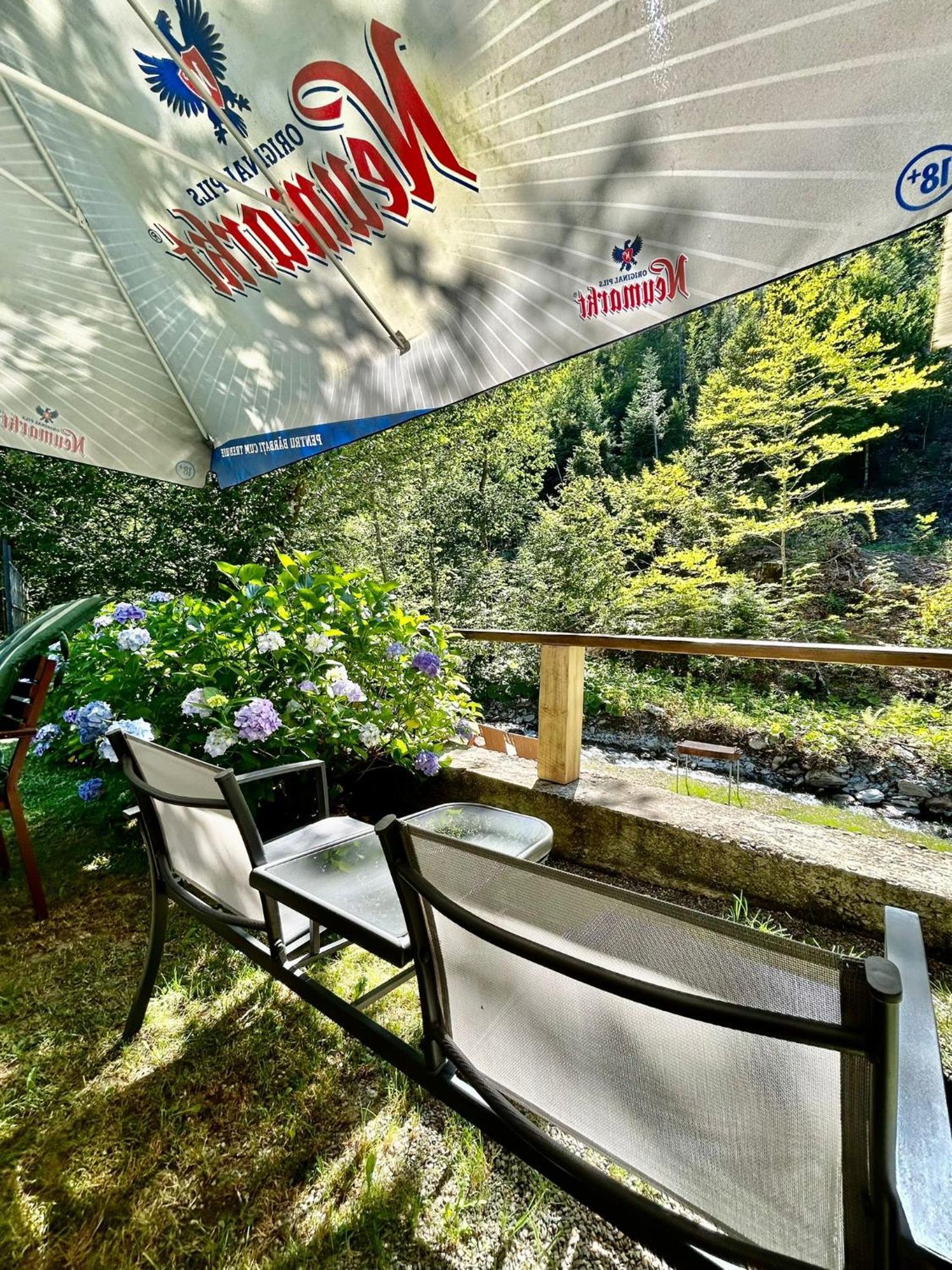 Hotel Casa Popa'S à Cîrţişoara Extérieur photo