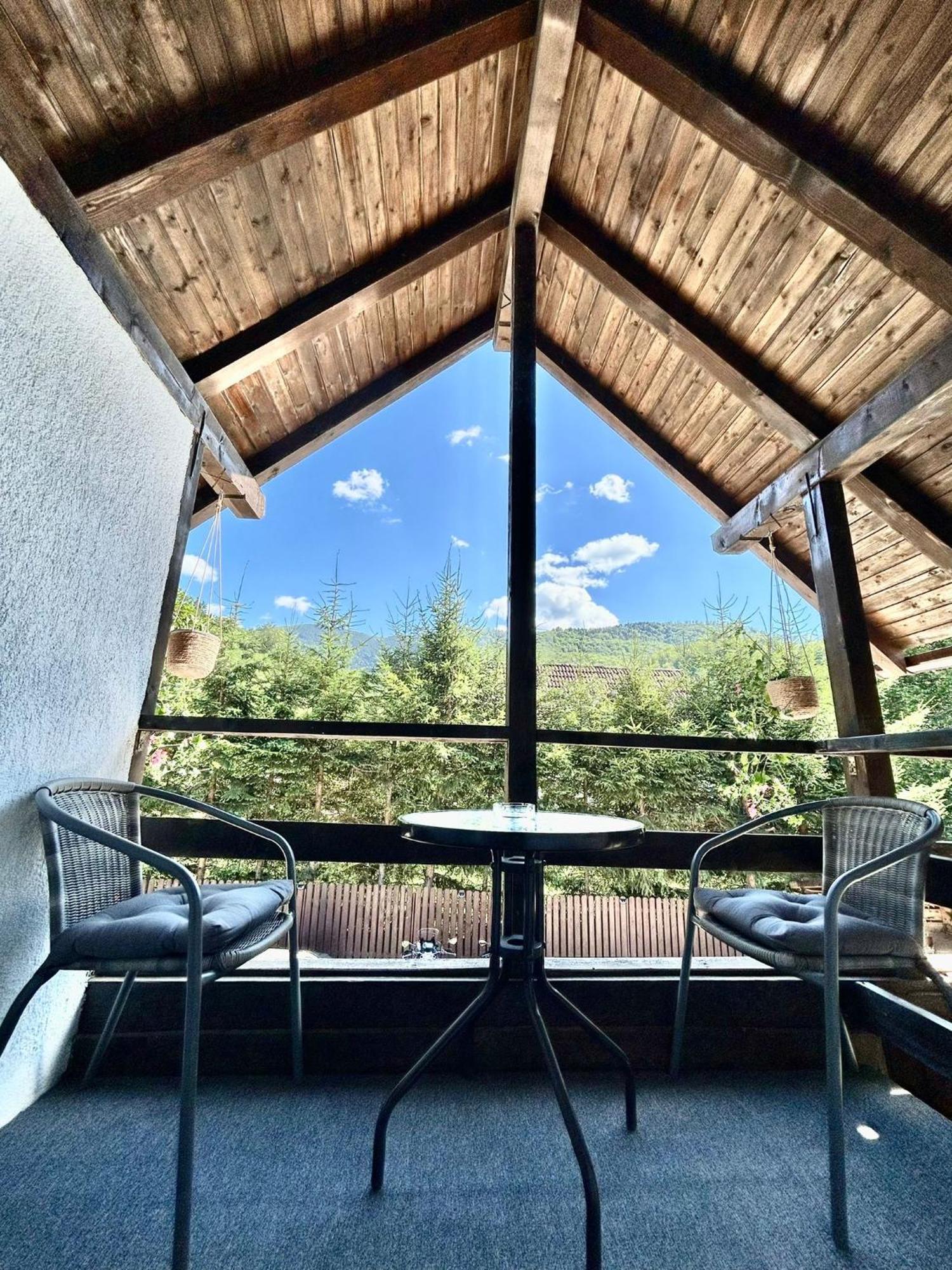 Hotel Casa Popa'S à Cîrţişoara Extérieur photo